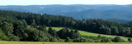 Landgasthof Baren * Gutenbach