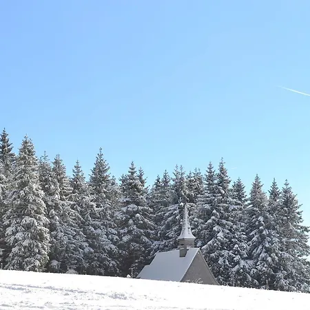 Landgasthof Baren Inn Gutenbach