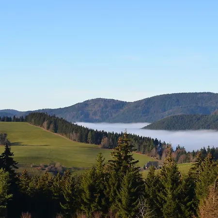 Inn Landgasthof Baren