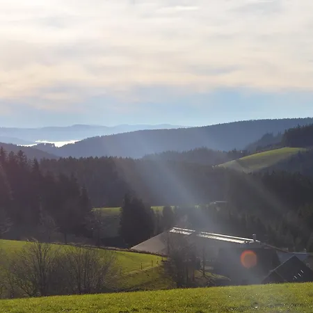Inn Landgasthof Baren *
